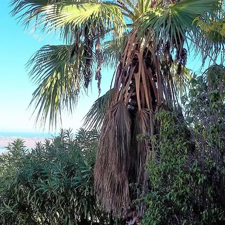 De La Luz Casa de Férias *