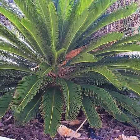 De La Luz Casa de Férias *