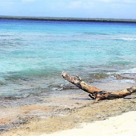 De La Luz * Monte Pego