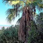 De La Luz * Monte Pego