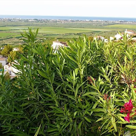 De La Luz Monte Pego