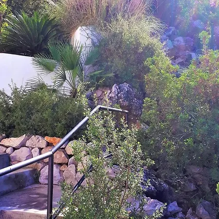 De La Luz Monte Pego