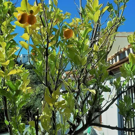 De La Luz *