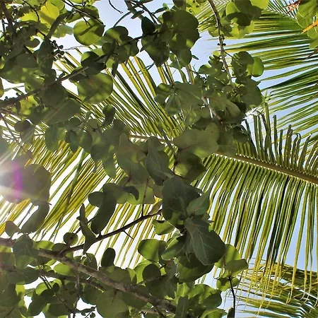 Hébergement de vacances De La Luz *