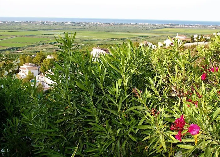 De La Luz Monte Pego